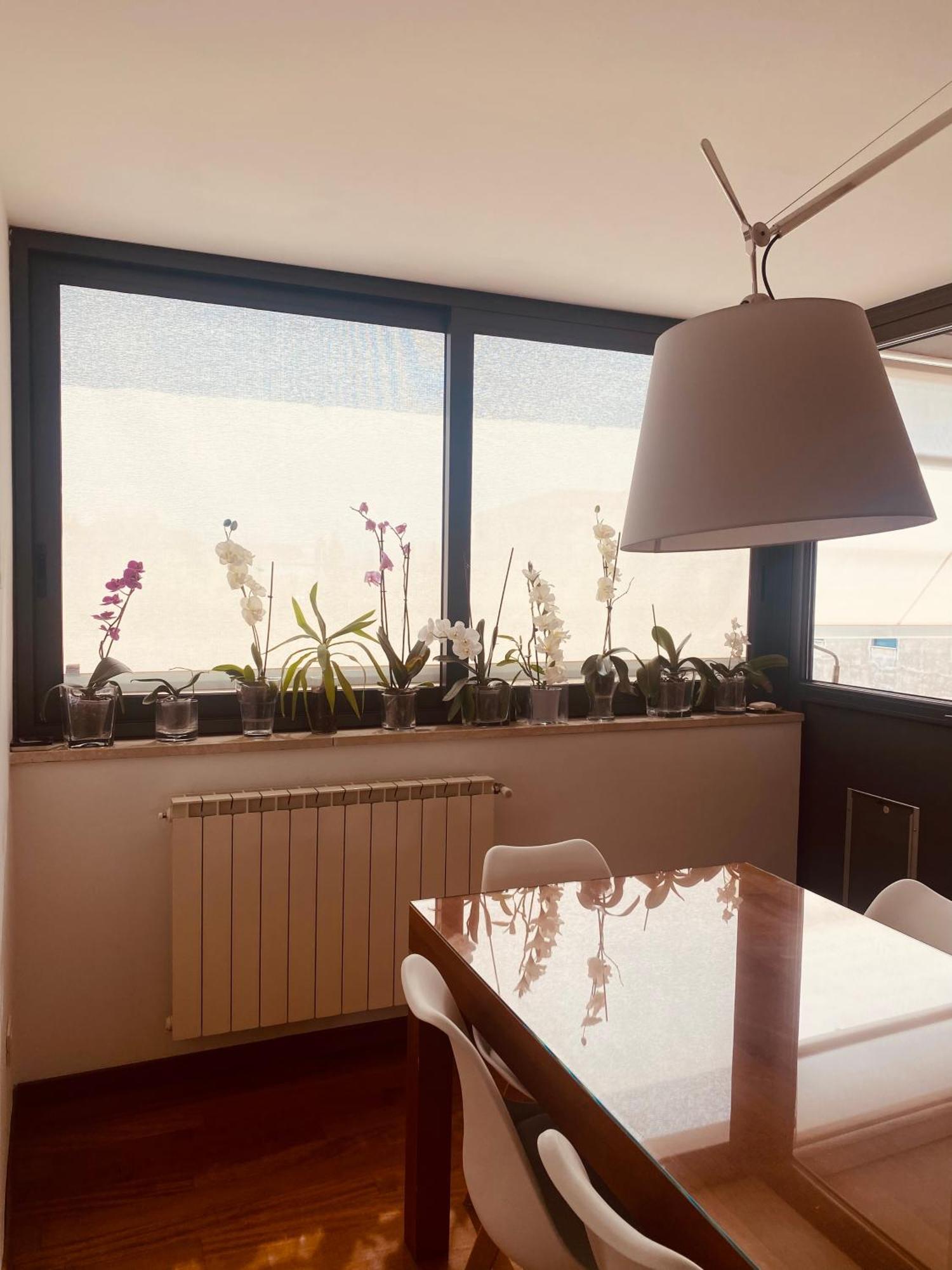 Apartamento La Casa Di Dani Florencia Exterior foto